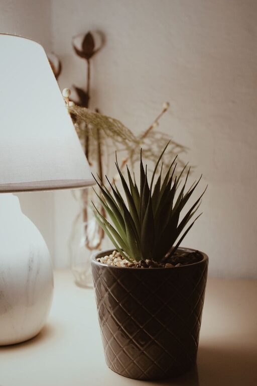 Affordable Ways to Make Your Home Cozy and Inviting